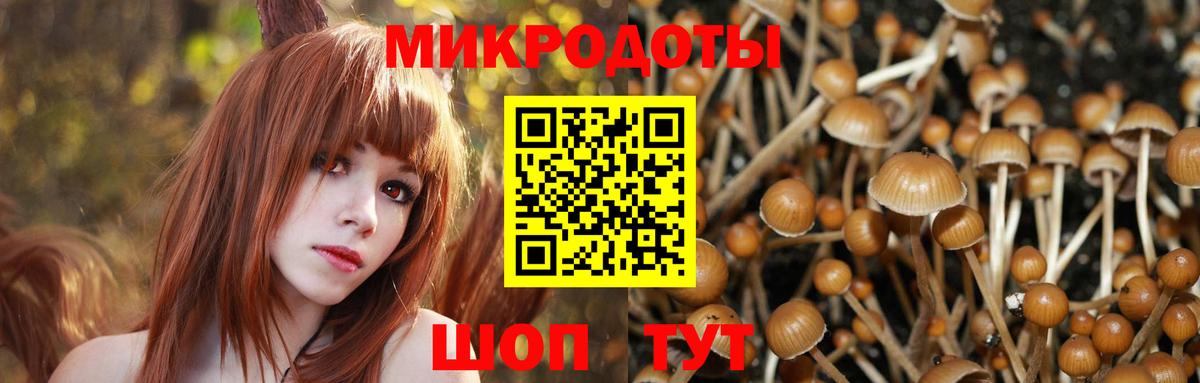 Междуреченск  Галлюциногенные грибы MAGIC MUSHROOMS  Вход с VPN  Псилоцибиновые грибы Psilocybine cubensis 